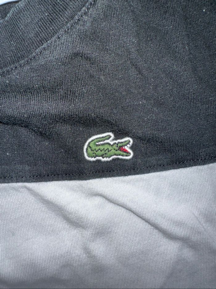 T shirt lacoste - photo numéro 3