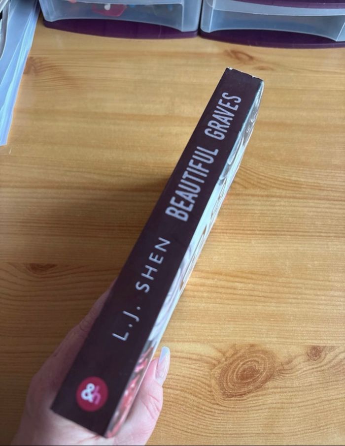 Livre: Beautiful Grave - photo numéro 3