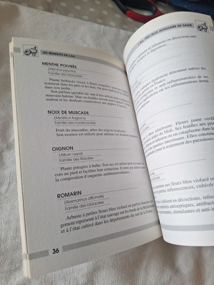 Livre de bie. Être sur ail - photo numéro 3