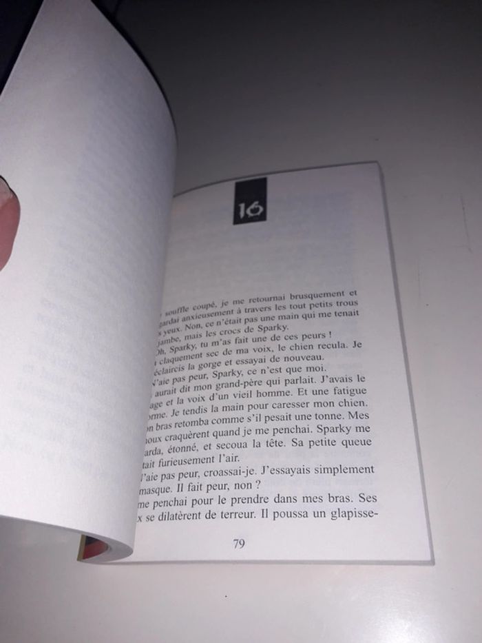 Le retour du masque hanté Chair de poule - photo numéro 4