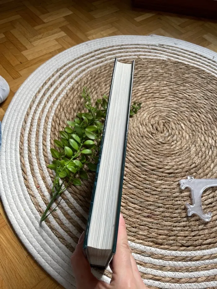 Livre - ou comment pourquoi est-ce arrivé ? - photo numéro 3