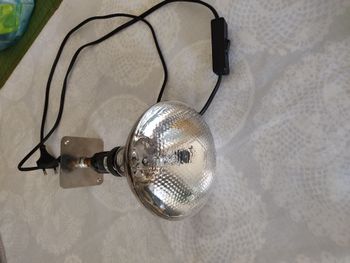 Ampoule Chauffante Terrarium 100W UVA Jbl Chauffante pour Reptile