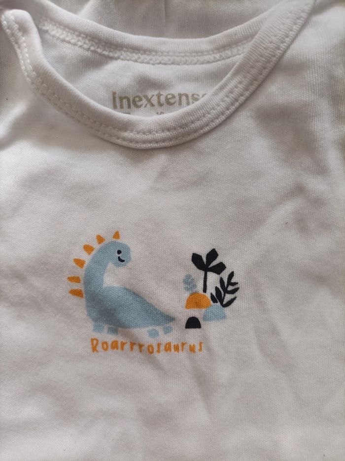 Lot de 12 bodys Taille 18 mois - photo numéro 3