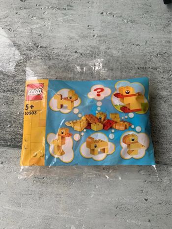 Lego Creator Polybag 30503