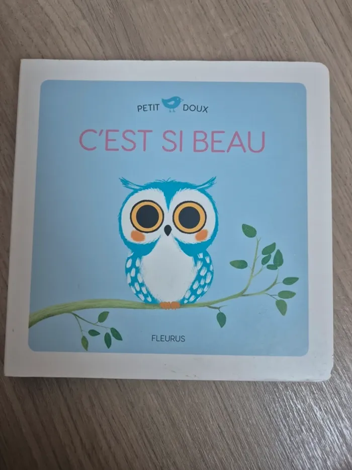 Livre C'est si beau