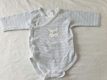 Bodie naissance chien