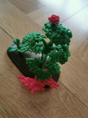 Support avec plantes
