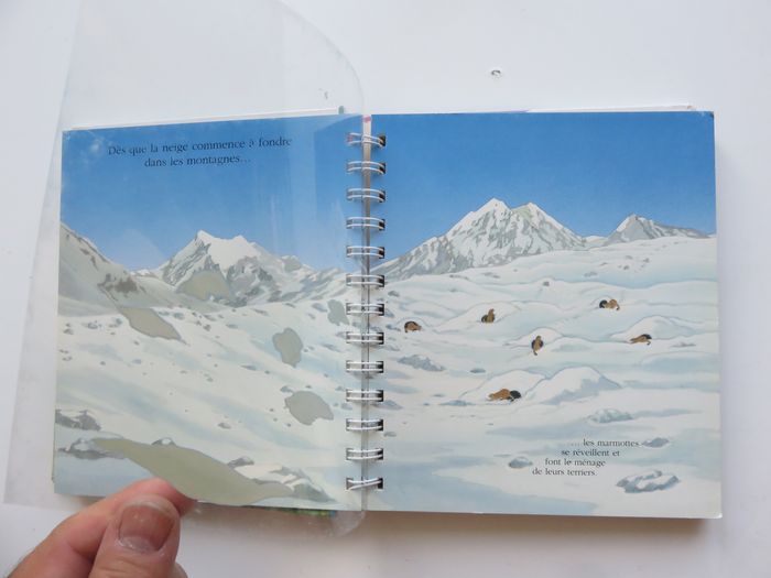 Album documentaire 2-5 ans : Mes premières découvertes - La mamotte (Gallimard jeunesse) - photo numéro 3