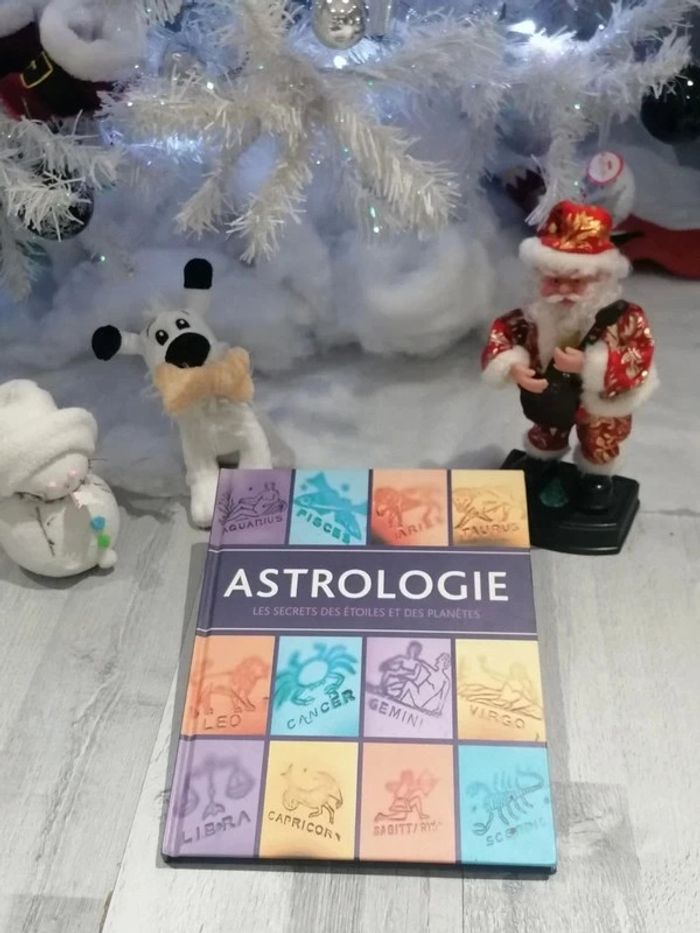 Livre astrologique - photo numéro 2