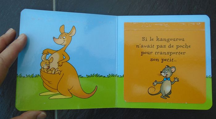 Joli livre sur les animaux avec volets à soulever - photo numéro 2