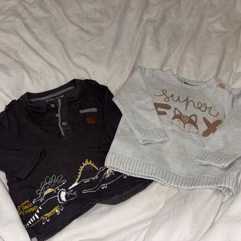 lot 2 vêtements