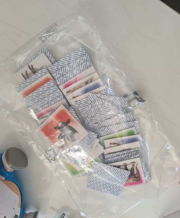 Memory animaux - photo numéro 9