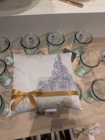 Coussin alliances Disney 