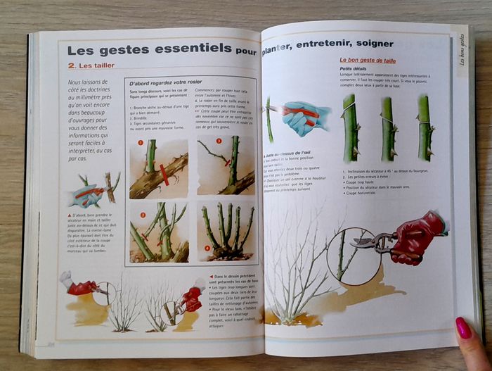 livre de bord du jardinier - photo numéro 8