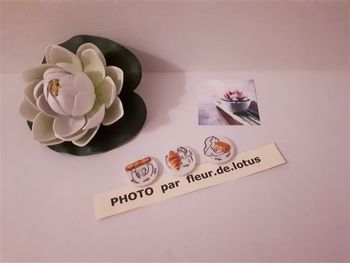 3 fèves ANGE BOULANGERIE 2026