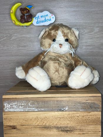 TRU21 doudou chat 🐱 Trudi