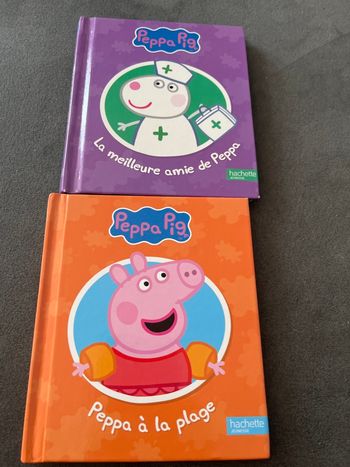 Lot 2 petits livres peppa piG