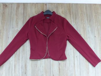 veste courte super sympa