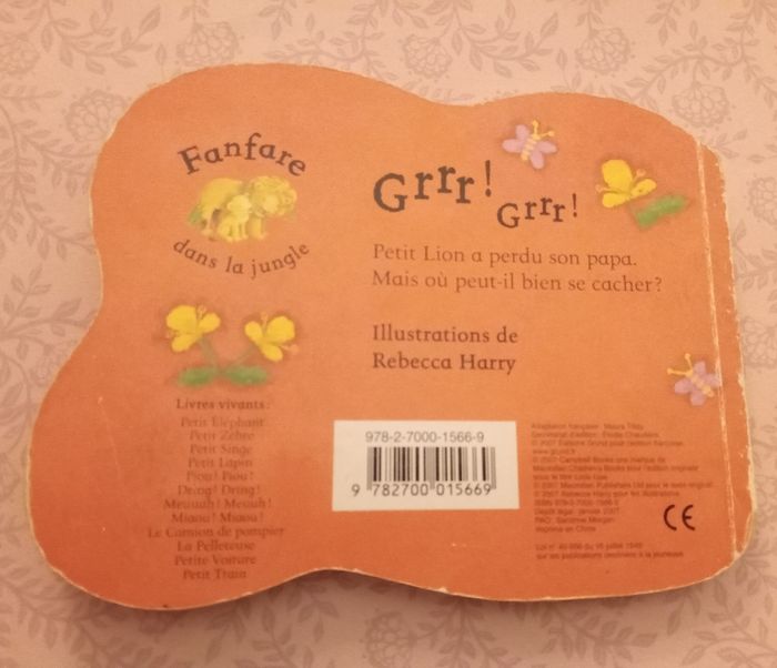 Livre : le petit lion đŠ - photo numĂ©ro 2