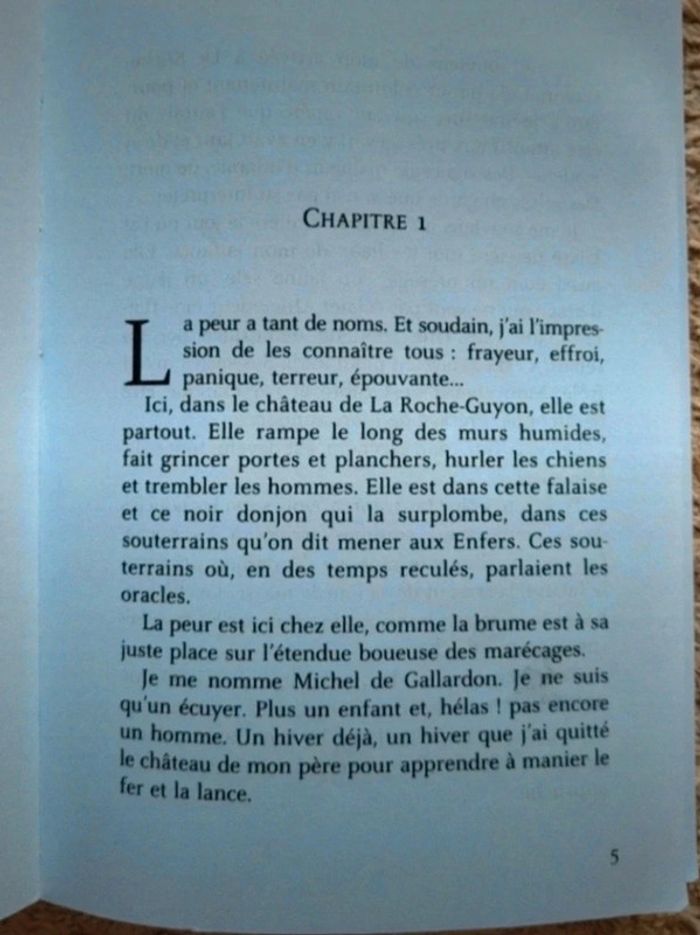 Roman jeunesse Le seigneur sans visage  de Viviane Moore - photo numéro 4