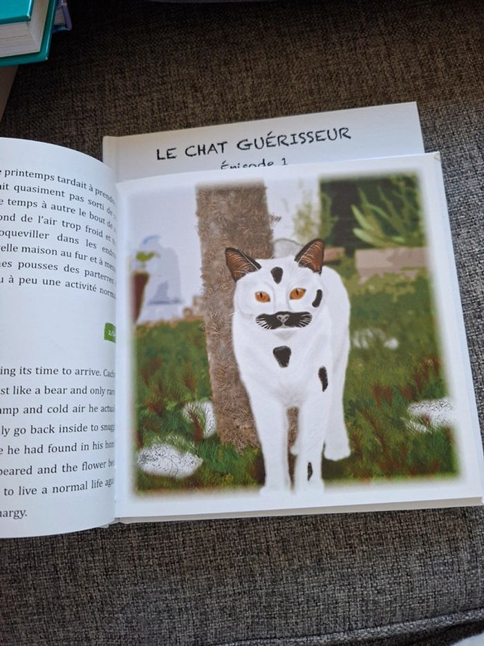 Livres pour enfant en anglais et français Le chat guerisseur - photo numéro 9