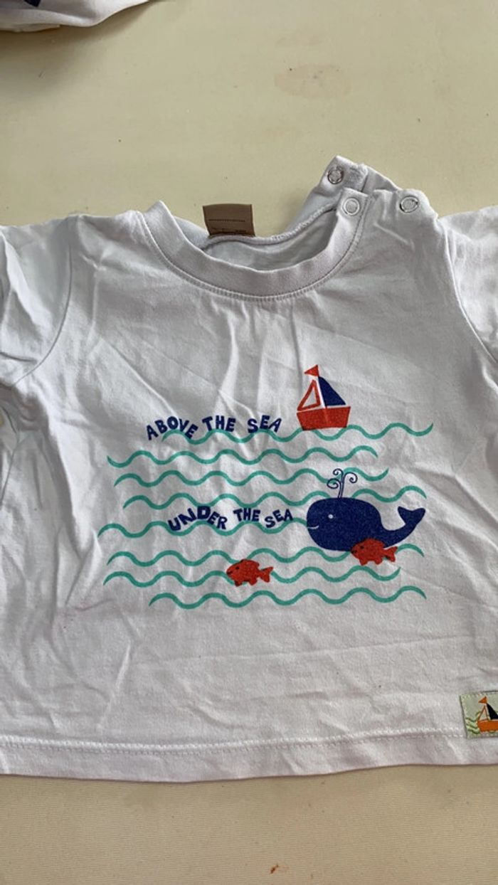Tee shirt 12 mois