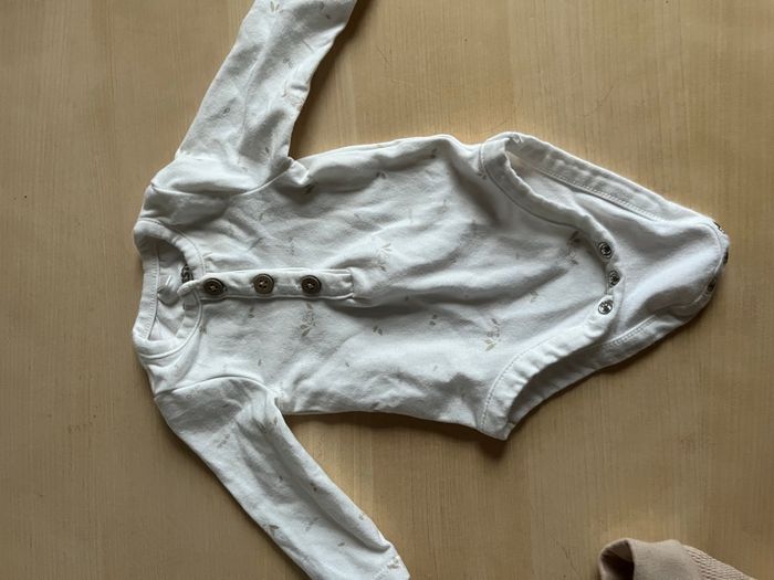 Ensemble Orchestra - photo numéro 3