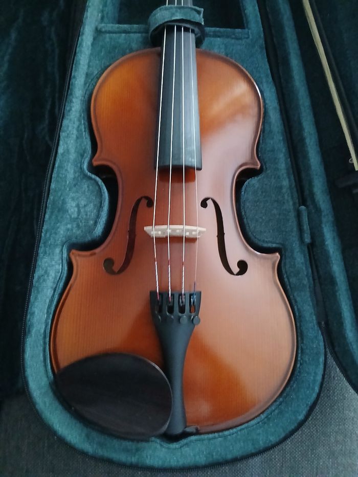 violon prima P200 4/4 - photo numéro 2