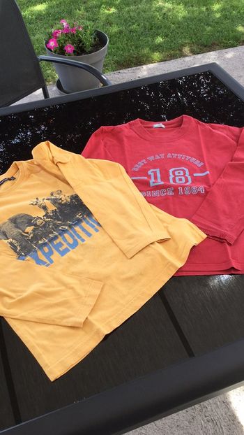 Tee-shirts longues manches lot de 2