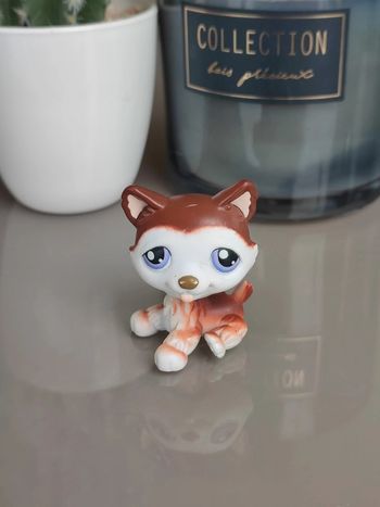 Littlest Pet Shop #427 brown and white husky dog
