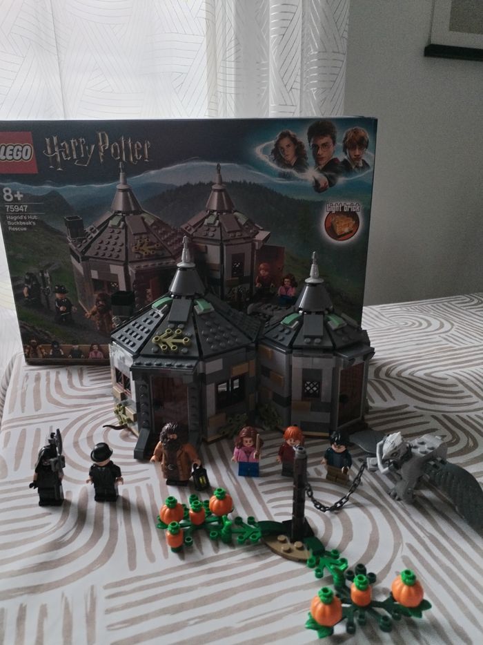Lego Harry Potter La cabane d'Hagrid 75947