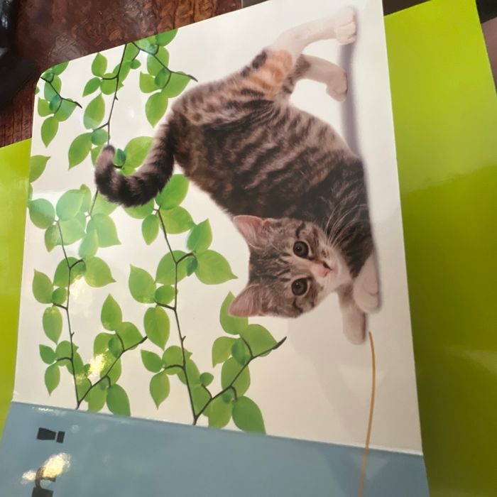 Livre bébé animaux - photo numéro 4