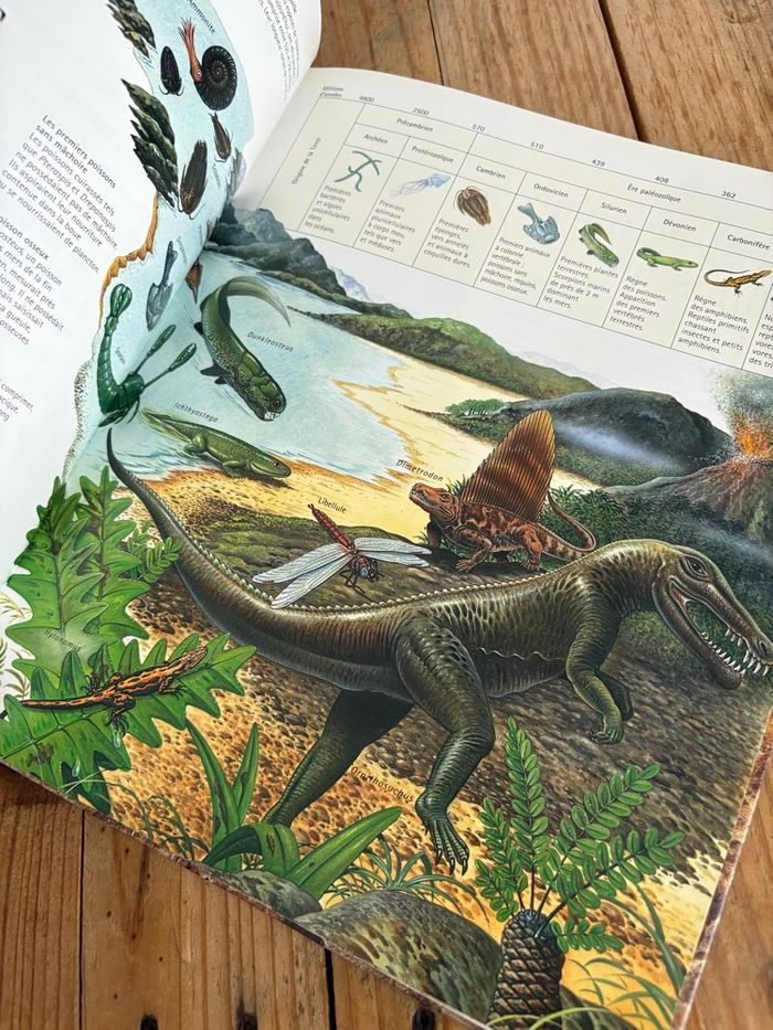 Les dinosaures - photo numéro 8