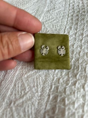 Boucles d’oreilles puces scorpion