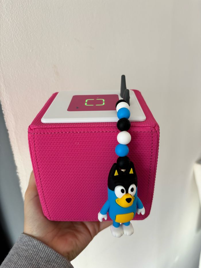 Cache prise bluey - photo numéro 2