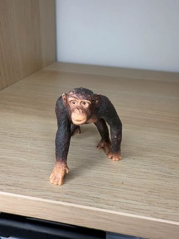 Chimpanzé schleich