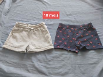 Shorts taille 18 mois