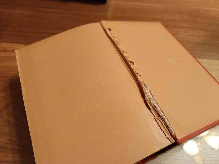 Vieux livre morceaux choisis des auteurs français - photo numéro 6