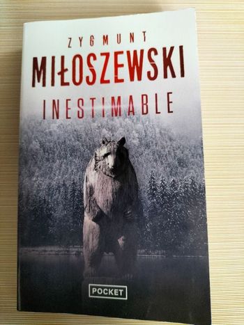 Livre Thriller Zygmunt Miloszewski