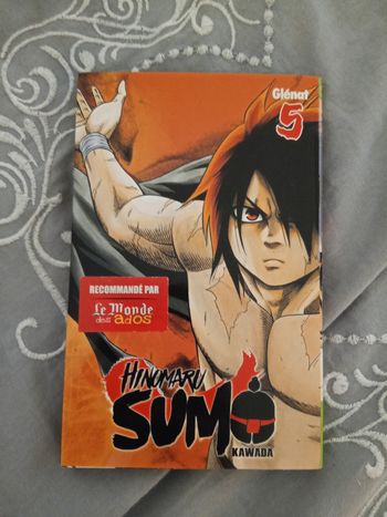 Livre (27) 📚 Hinumaru Sumo