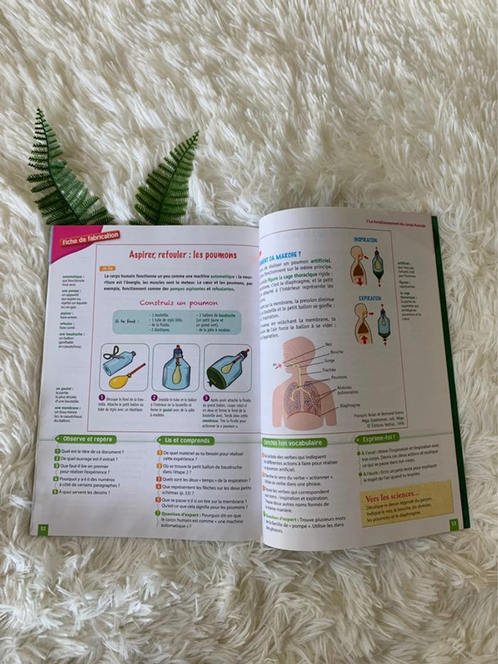 Livre Lecture en Sciences cycle 3 - photo numéro 3