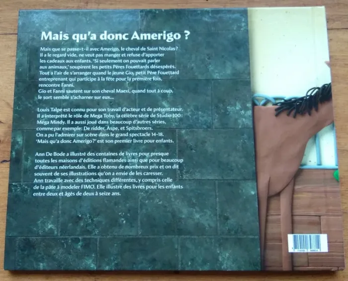 Livre Mais qu'a donc Amerigo ? - photo numéro 2
