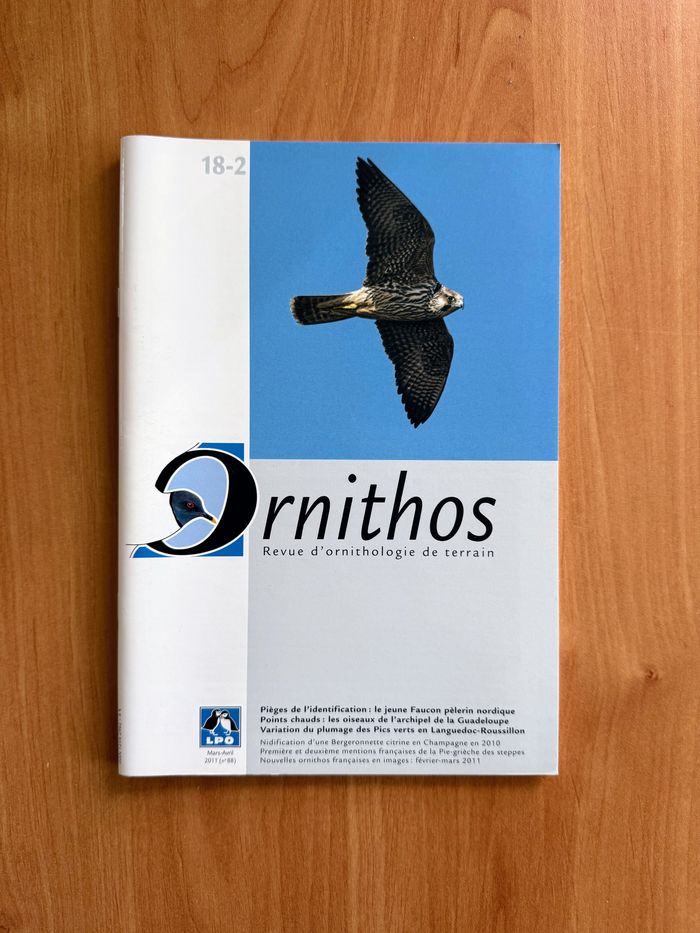Lot de 6 revues Ornithos - photo numéro 2