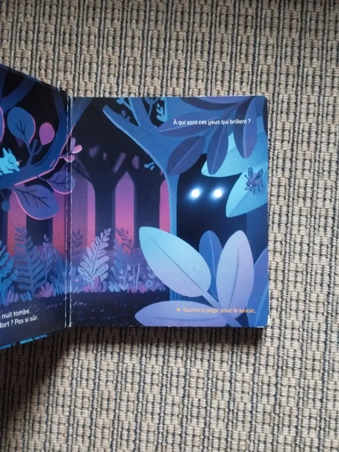 Livre lumineux Monsieur Hibou et la Forêt - photo numéro 2