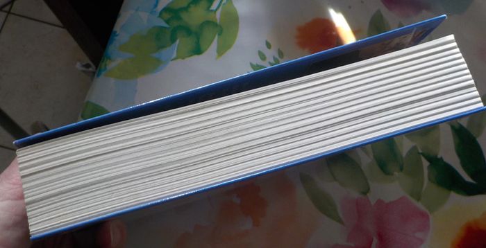 Bernadette, pourquoi je l'aime par Jacques Perrier Evêque de Tarbes et Lourdes - photo numéro 4