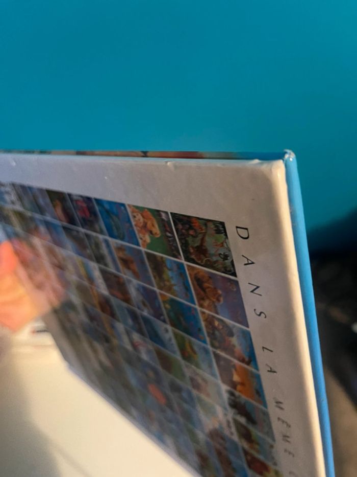 Livre l’imagerie des dinosaures éditions Fleurus - photo numéro 4