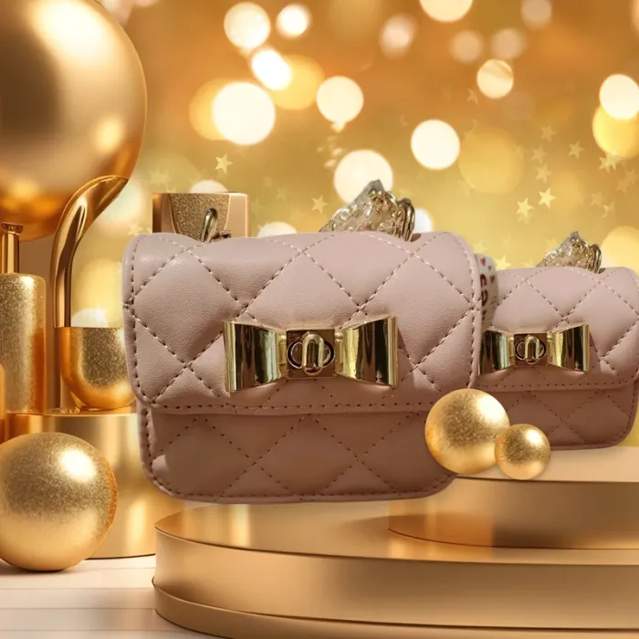 Magnifique petit sac Claire's