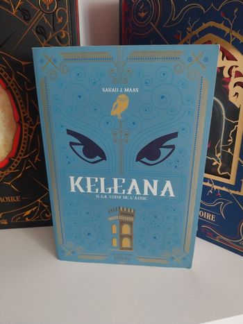 Roman Keleana tome 6 La Tour de l'Aube- Sarah J. Maas La Martinière
