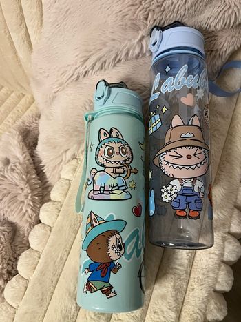 2 gourdes labubu bleu et vert d’eau