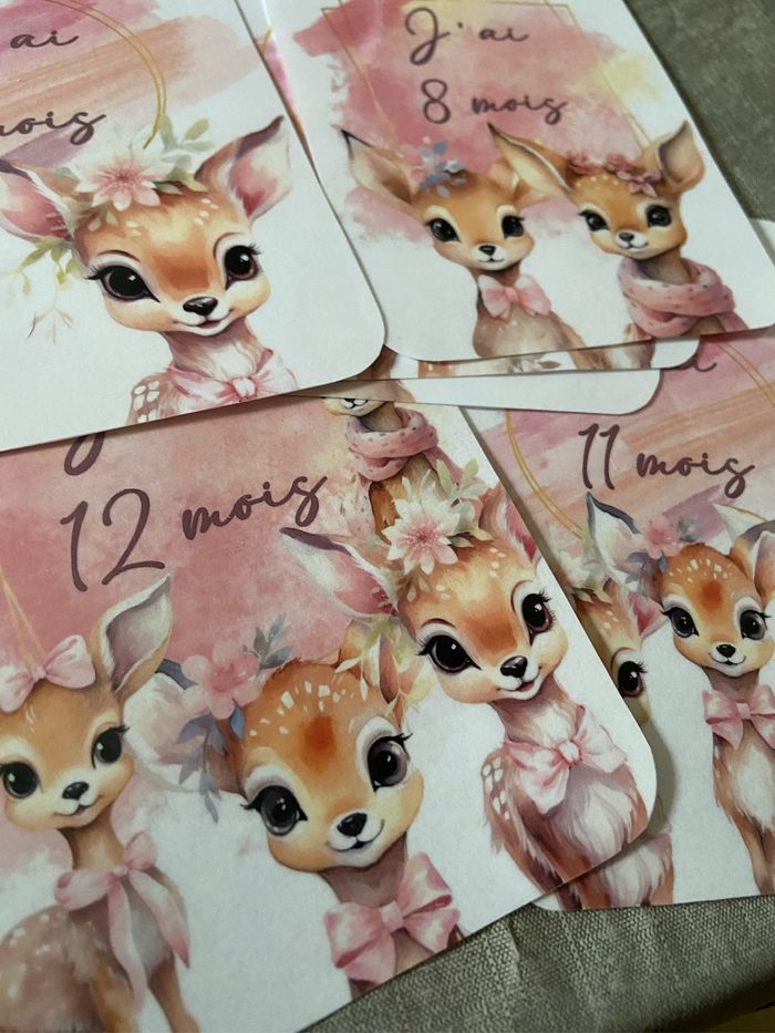 Carte étape Biche - photo numéro 3